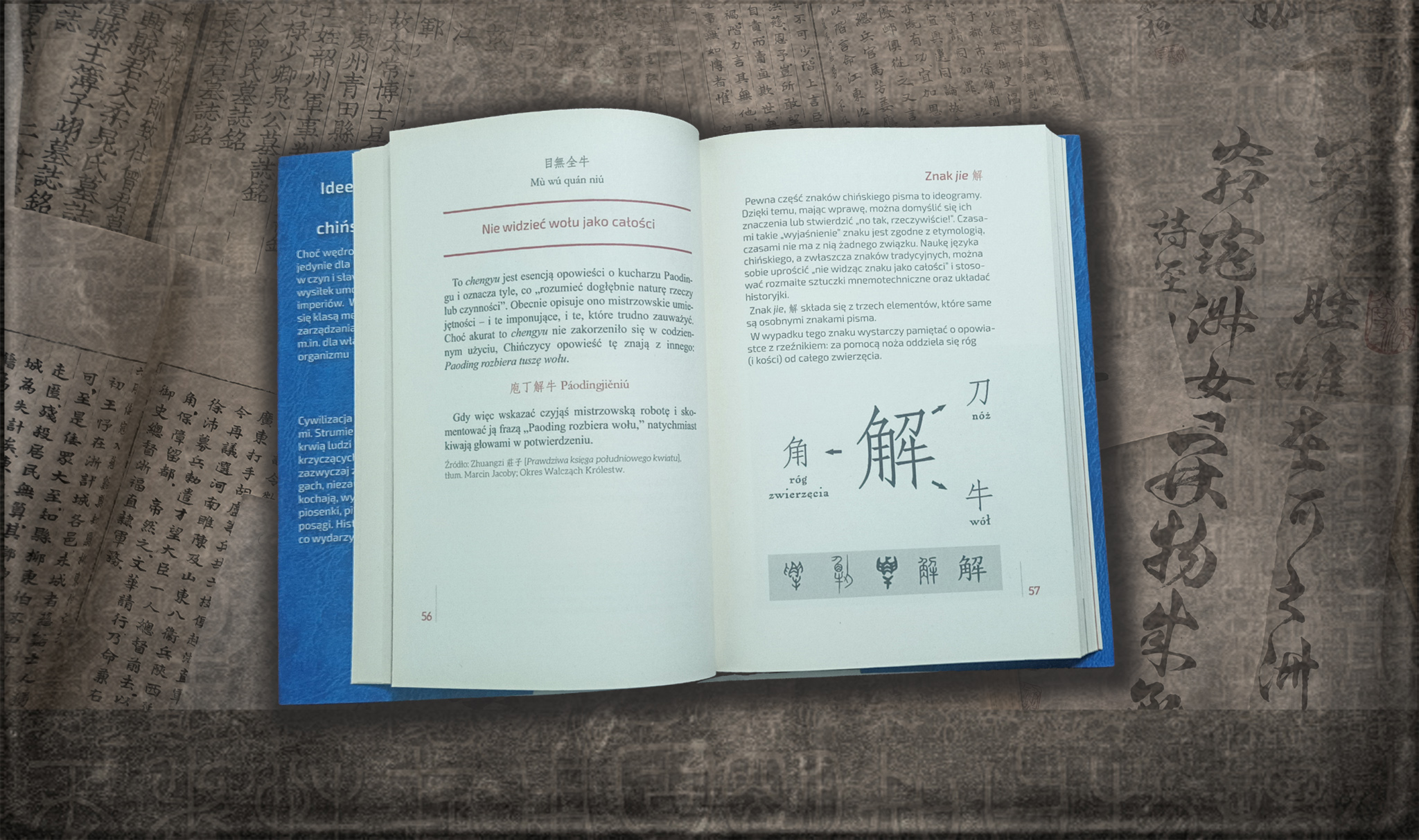 = | Zdjęcie artystyczne środka